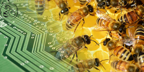 ProBee - elektronické monitorování včelstev